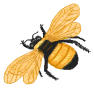 bee4.jpg